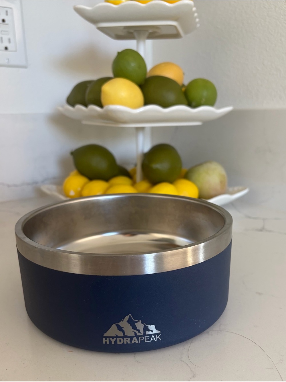 HydraPeak Navy Stainless Steel Dog Bowl - Non-Slip Feeding Dish